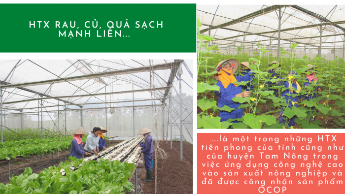 Nông nghiệp công nghệ cao  xu hướng mới của nên nông nghiệp Việt Nam  Tin  tức sự kiện  Cổng thông tin điện tử tỉnh Thái Nguyên