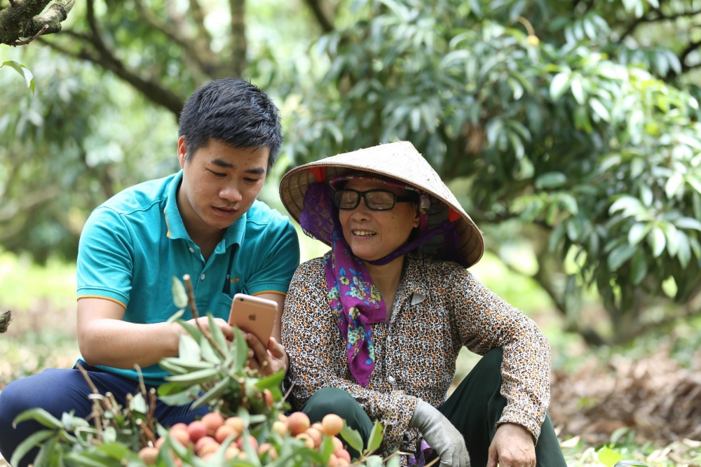 Người dân được các nhân viên Vỏ Sò hướng dẫn đi chợ điện tử