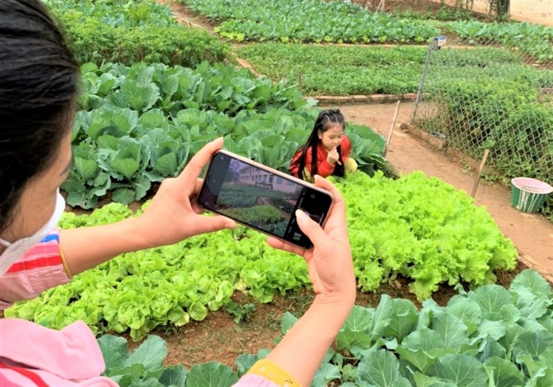 Nông nghiệp công nghệ: Sân chơi cho những nông dân thời đại số