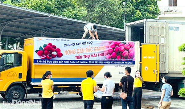 Bưu điện tỉnh Đồng Nai hỗ trợ tiêu thụ 13 tấn vải thiều Bắc Giang