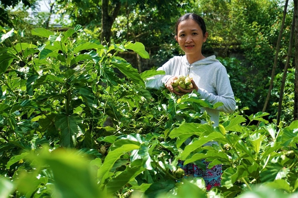 Quảng Nam hỗ trợ hộ sản xuất nông nghiệp lên các sàn thương mại điện tử