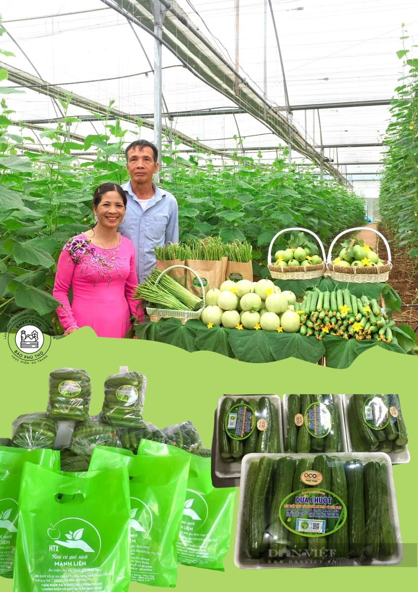 Lên sàn thương mại điện tử, cơ hội nhà nông Phú Thọ đưa nông sản vươn xa - Ảnh 4.