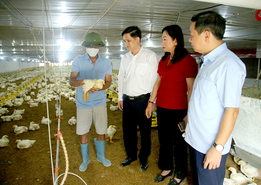 Chuyển đổi số trong nông nghiệp tại Phú Thọ