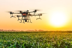 Chuyển đổi số nông nghiệp Loay hoay từ đưa nông sản lên sàn tới ứng dụng máy bay không người lái